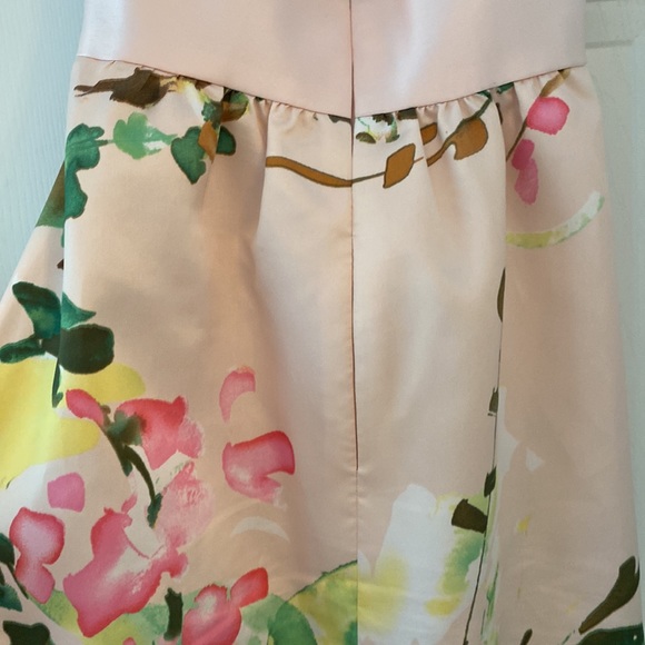 Alfred sung floor length ball gown worn twice - Picture 9 of 12